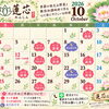 【扶桑町・蓮芯】2026年10月の営業カレンダーのご案内｜秋本番！季節のお野菜でつくる「心と体にやさしいお料理」🌱