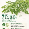 【豆知識】モリンガをもっと身近に。aru workで楽しむ、新しいひととき