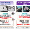 今週末のイベント情報🍁かすみがうら市水族館で遊び、学ぼう✏️