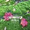 OCTOBER 2026