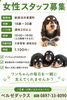 「🐶求人募集🐶」
