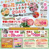 ✨10/3(土)・4日(日)秋の花フェスタ＆スペシャルサタデー２DAYS開催✨