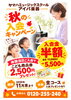 「【2026年11月末まで】子どもから大人まで大歓迎♪2大特典が嬉しい「秋の入会キャンペーン」スタート！」