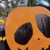 🎃植物園がハロウィンに🎃【福井韓国風カフェ Hugpopo ハグポポ】