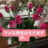 静岡市の結婚相談所マリッジアオキが婚活中の男性へアドバイス！マメな男性はモテるけれど本当に大切な連絡頻度と心の距離感とは？✨