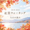 「ココロとカラダを整えるウォーキング
〜当日の流れ〜」