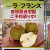山形県産ラ・フランスの産地直送宅配をご予約承り中！冬のギフトやご自宅用にどうぞ
