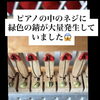 ピアノの中に緑色の錆が！？ピアノのメンテナンス紹介/紬ピアノ工房