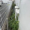 【川越市】リピーター様より草取り＆防草シートメンテナンスのご依頼！室外機まわりやお家のお困りごともすっきり解決します🌱✨