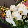 【お客様の声】温かいお言葉をいただきました🕊