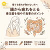 寝ても疲れが取れない方へ｜善玉菌を育てる食事と腸活のポイント