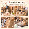 嬉しい口コミをいただきました🐾写真や動画で届ける安心のお留守番