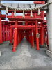 伊勢崎の小泉稲荷神社です。油揚げを供えました。「1995年の創業から育んだ確かな探偵力で必ず「あなた」の抱えている問題を解決致します。無理な営業は一切致しません。ご安心下さい。」