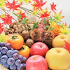 食欲の秋！食べすぎや胃腸の疲れ対策（明石市・整骨）