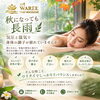 🍂 秋になっても長雨で気圧と湿気で身体の調子が崩れていませんか？