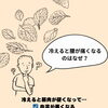 紅葉の季節、冷えによる腰痛に注意！（明石市・接骨院）