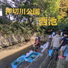 押切川公園西池の水生生物調査と清掃を実施｜市の魚「トゲチョ」が棲める環境づくりへ
