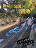 「押切川公園西池の水生生物調査と清掃を実施｜市の魚「トゲチョ」が棲める環境づくりへ」