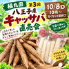 八王子産キャッサバ直売会　もう、第3回目！今回も大盛況を期待しています。「キャッサバ！　第3回八王子産キャッサバ直売会　10時〜なくなり次第終了。」