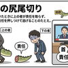 今日のことわざ　八王子市片倉町の個別指導学習塾『和泉学習研究所』～中高受験からその先の未来までサポート