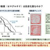 セマグルチドは抗老化薬なのか？最新研究から考える健康づくりの視点