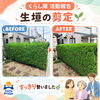 【豊明市】生垣の剪定でお庭をすっきり！暮らしのお困りごと支援