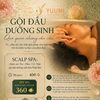Lần Đầu Trải Nghiệm Head Spa? Gợi Ý Head Spa Quận 1 Tại Yuumi Spa Gần Chợ Bến Thành