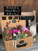 「少しずつ秋🍂らしくなってきて、お花の種類も増えてきましたょ🌼☝🏻」