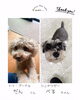 「＼初回カウンセリング🔰／吠えでお悩みのお客様からのご依頼です🐶」
