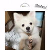＼初回カウンセリング🔰／トイレトレーニング・吠え🐶