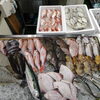 📣本日のお魚情報🐟
