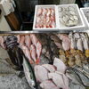 📣本日のお魚情報🐟