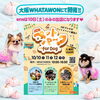 「ABCペットパーク for DOGに出店します🐶」