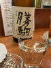 「【小樽・花園】富山の勝駒を、グラスで。日本酒は全国から30銘柄以上🍶」