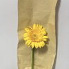 大切なお花をお預かりしました♡【宮崎/ボトルフラワー/ドライフラワー加工/生花保存】