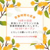 🚶‍♂️秋のアミエル周年祭！ノルディック・ウォーク参加者募集中