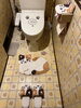 「店内のトイレが猫ちゃん仕様に大変身🐱🐾明るく楽しい空間になりました✨」