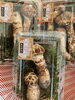 岩手県産北限の松茸　岩手味香王（いわてみかくおう）「秋の味覚を楽しみませんか！」