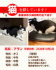 「【新居浜市久保田町付近】迷い猫を探しています（不明になった日：2026年10月2日）」