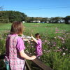 秋晴れのテラスでコスモスのお花見と押し花作り🌸【富士見・原村の福祉施設ひなたぼっこ】