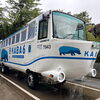 カババスに乗ってみよう！/静岡のメンテナンス付き水槽レンタルならアクアデザインブルース/お出かけスポット/