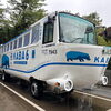カババスに乗ってみよう！/静岡のメンテナンス付き水槽レンタルならアクアデザインブルース/お出かけスポット/