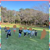 🌴aloalo🌴公園🌺
