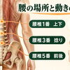 その腰痛、ぎっくり腰？慢性腰痛？──痛む場所でわかる3つのタイプ【荒川区/東日暮里・南千住・町屋　フィーリングス日暮里整体院 】