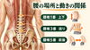 「その腰痛、ぎっくり腰？慢性腰痛？──痛む場所でわかる3つのタイプ【荒川区/東日暮里・南千住・町屋　フィーリングス日暮里整体院 】」