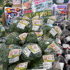 本日のお勧め商品