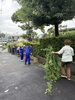 「中学生4人が植木屋さんのお仕事を体験！🌿「夢わーく体験」」