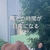 レッスン前から心を通わせる時間♪ 馬装から始まる乗馬の楽しみ