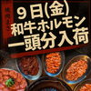 連休明け9日より元気に営業再開！新鮮な和牛ホルモン一頭分とお肉をご用意してお待ちしております