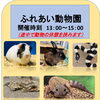 ふれあい動物園と飼育員体験！3連休はかすみがうら市水族館で遊ぼう⛲️
